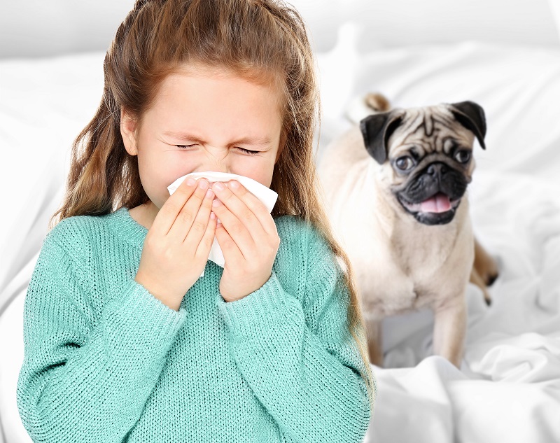 Pet Allergies - How to cope out with them