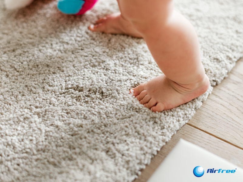 How To Get Mildew Smell Out Of Carpet Airfree Blog