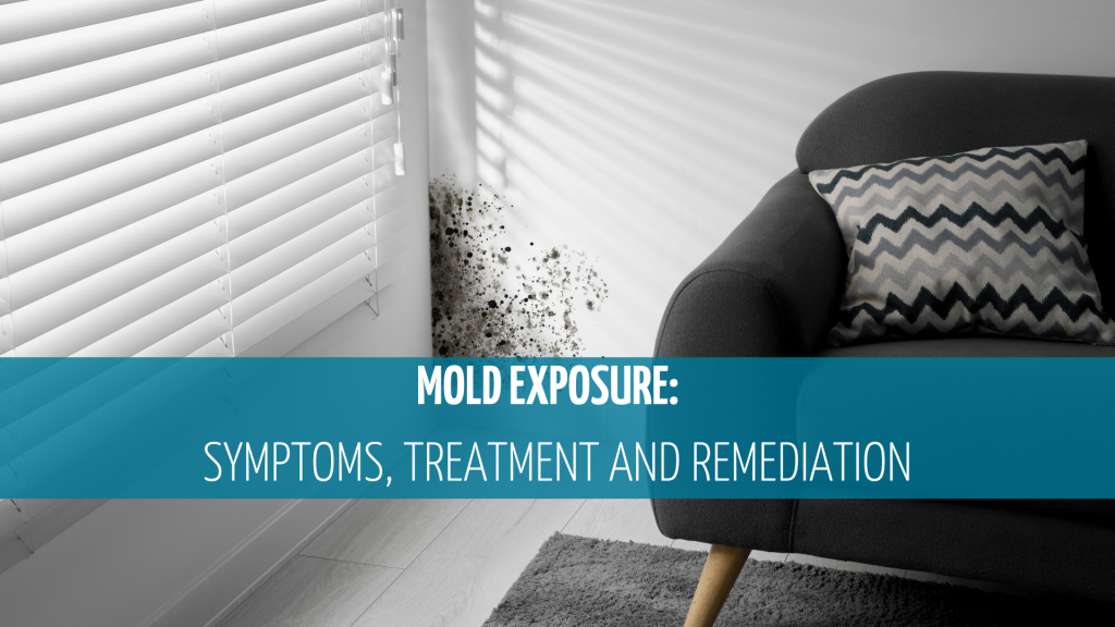 01new ENG BLOGCOVERMold Exposure Symptoms Treatment and Remediation