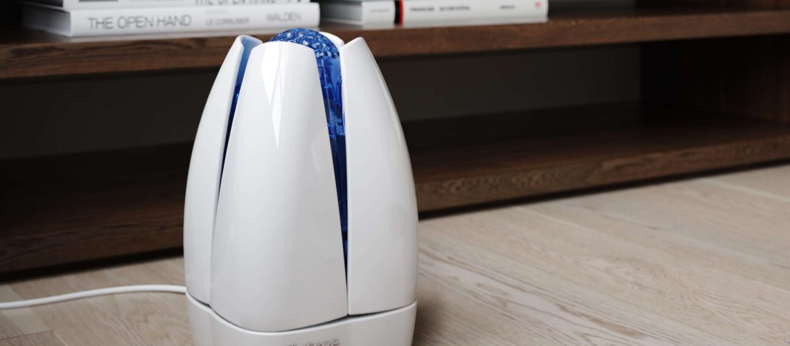 Can I Use an Air Purifier with an Air Humidifier Altogether?